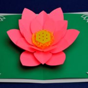 Lotus Flower Pop Up Card Template - Creative Pop Up Cards